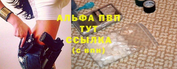 стаф Михайлов