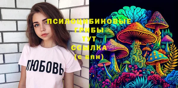 PSILOCYBIN Мегион