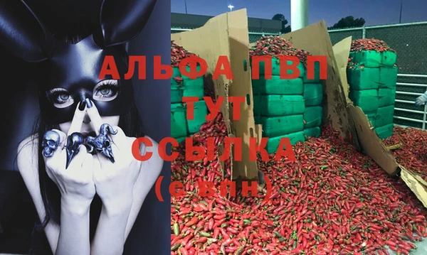MDMA Грязовец